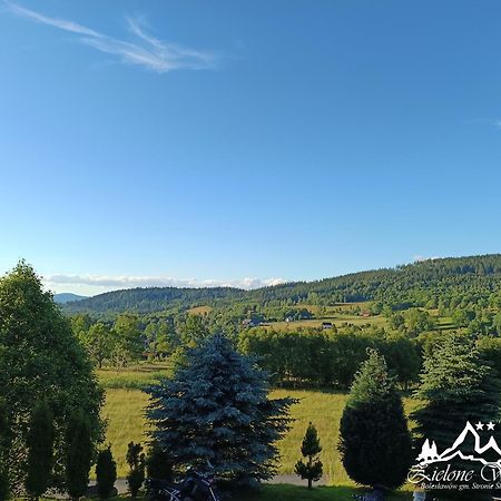 Pensjonat Zielone Wzgorze W Boleslawowie Stronie Śląskie Exterior foto