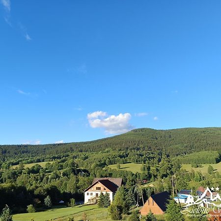 Pensjonat Zielone Wzgorze W Boleslawowie Stronie Śląskie Exterior foto