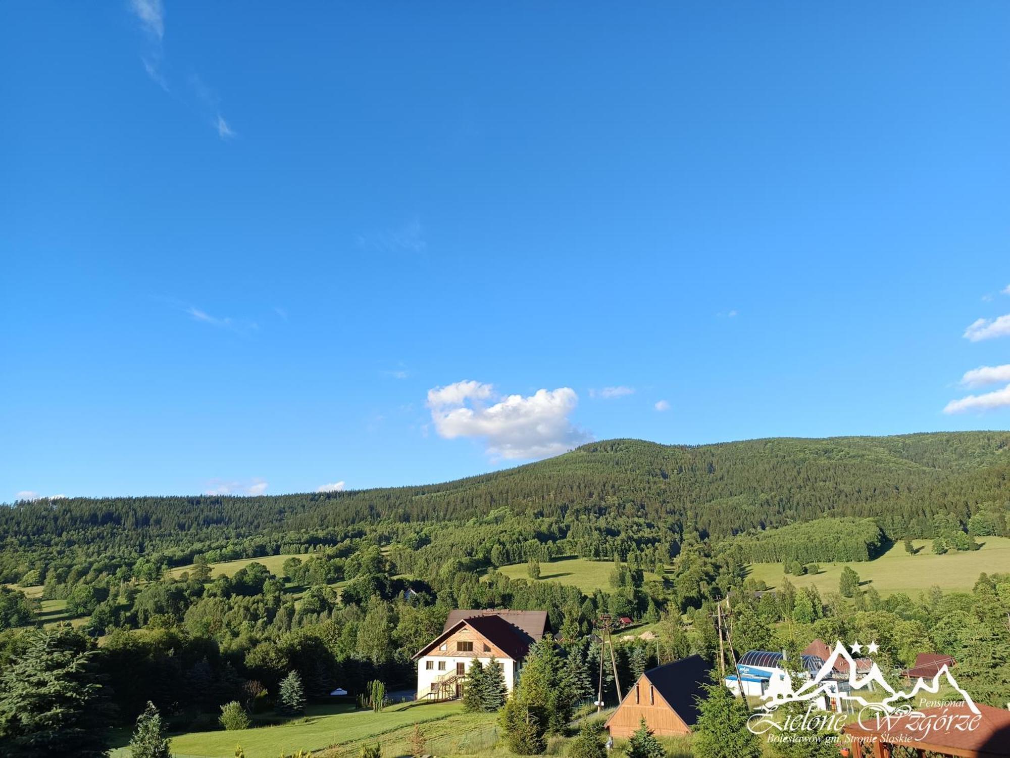 Pensjonat Zielone Wzgorze W Boleslawowie Stronie Śląskie Exterior foto